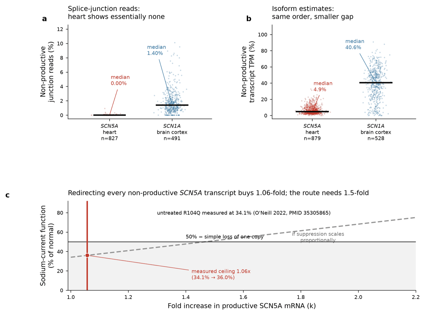 Panel a: splice-junction reads showing SCN5A in heart at a median of 0.00 percent against SCN1A in brain cortex at 1.40 percent. Panel b: isoform estimates, same ordering, smaller gap. Panel c: redirecting every non-productive transcript buys 1.06-fold against the 1.5-fold the route needs.