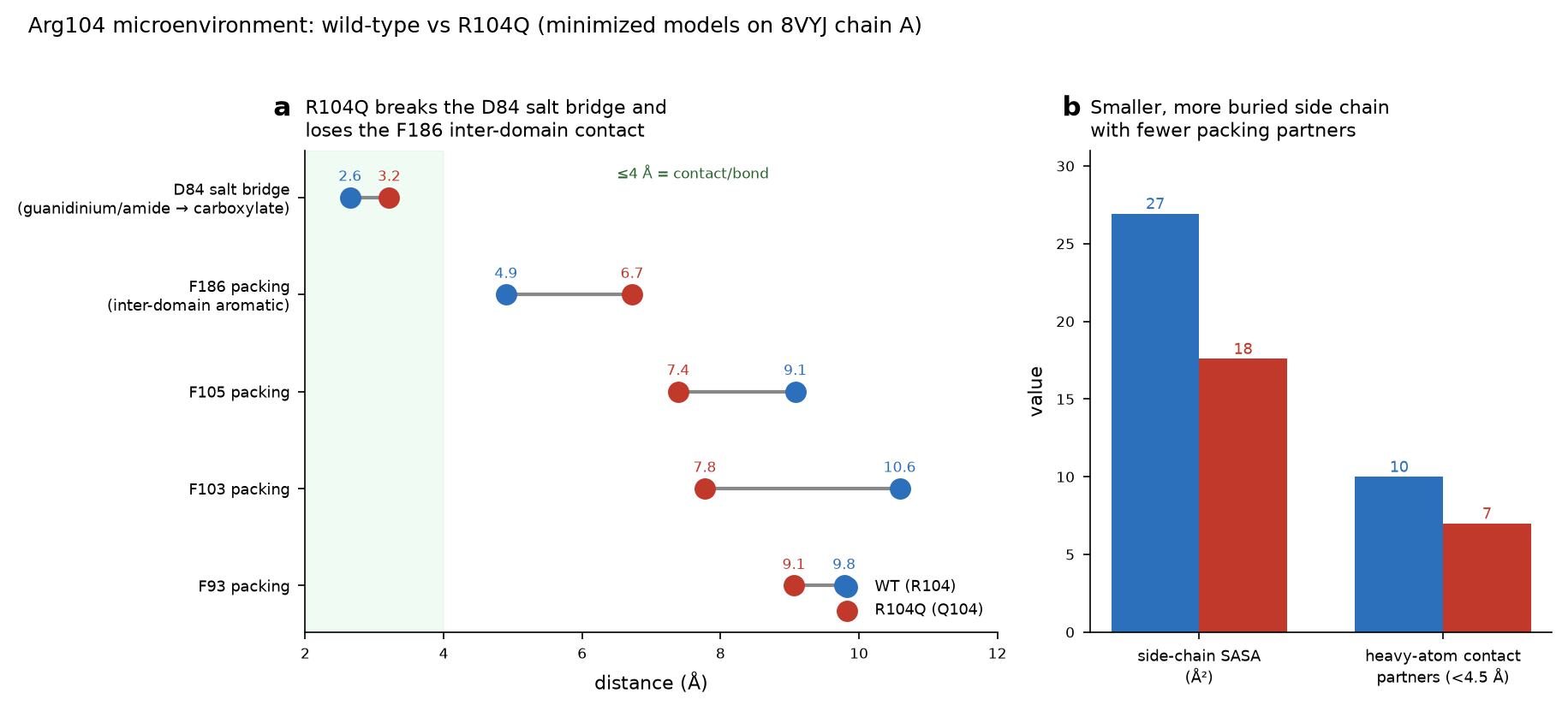 Dumbbell plot and bar chart comparing the residue-104 microenvironment in wild-type versus R104Q.
