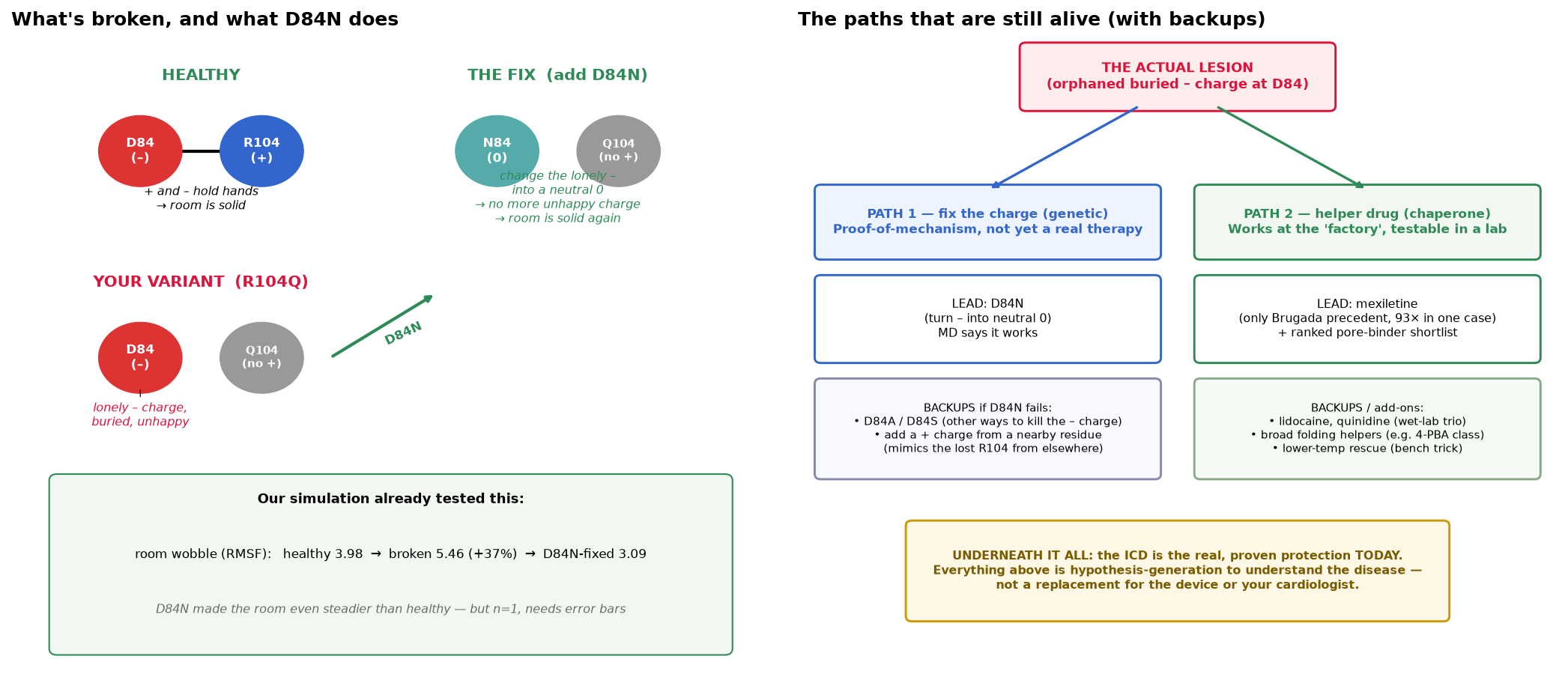 Plain-language diagram of the therapeutic paths still open for R104Q, each with backups.